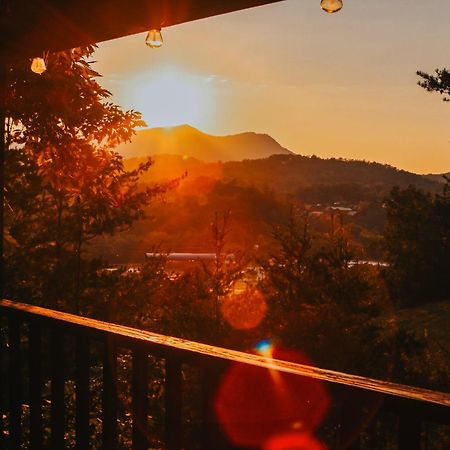 鸽子谷Bluff Mountain View别墅 外观 照片
